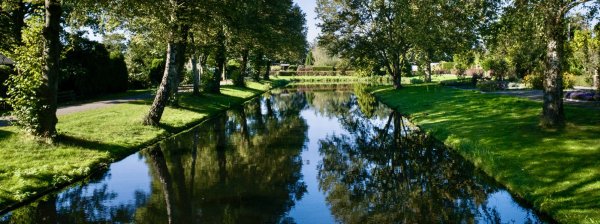 banner-vijver-vtv-wilgentuin-1